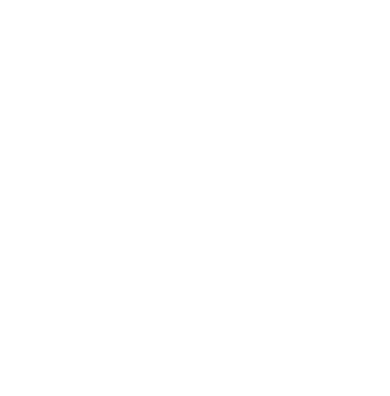 Logo Mineralita
